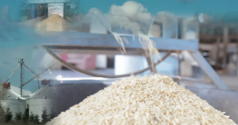 rice mill business plan in nigeria